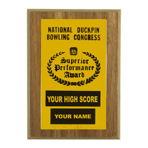 Special Award Plaque